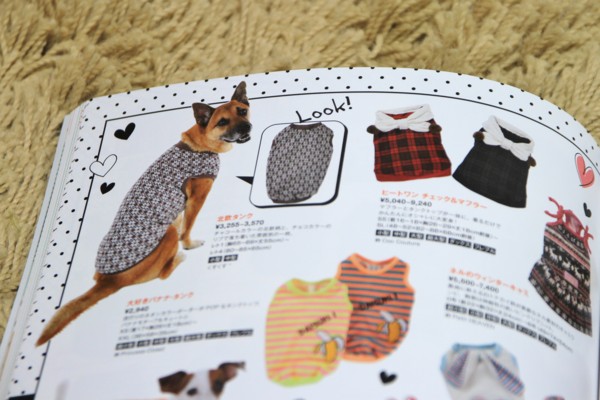 f:id:mamimami_LA:20131111114255j:image f:id:mamimami_LA:20131111114255j:image