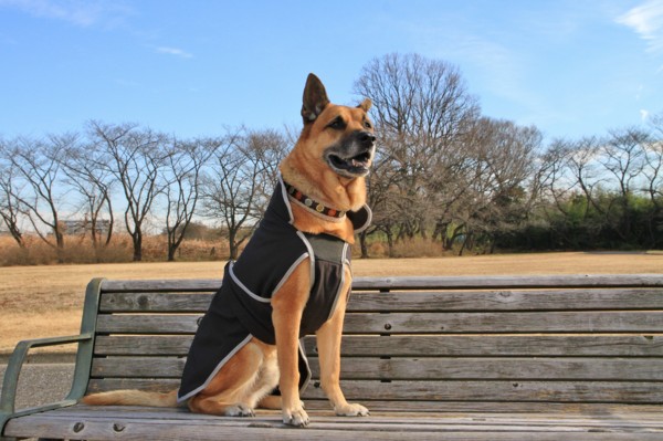 f:id:mamimami_LA:20131217100511j:image