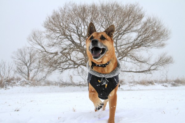 f:id:mamimami_LA:20140208112529j:image f:id:mamimami_LA:20140208112529j:image