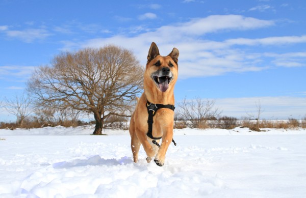 f:id:mamimami_LA:20140209105723j:image f:id:mamimami_LA:20140209105723j:image