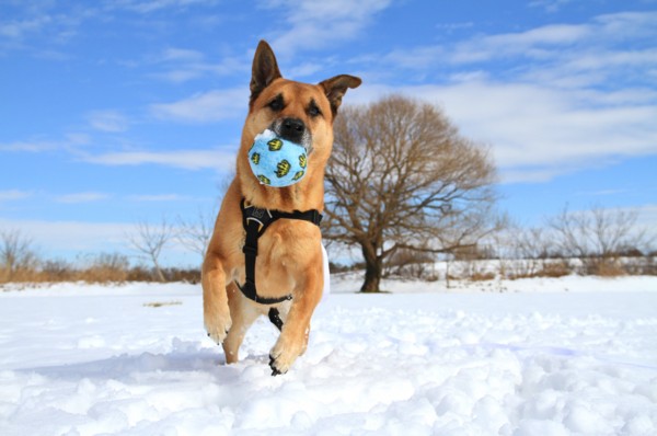 f:id:mamimami_LA:20140209105937j:image f:id:mamimami_LA:20140209105937j:image