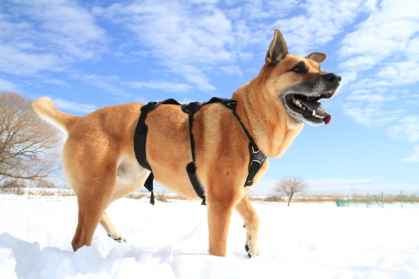 f:id:mamimami_LA:20140209110521j:image f:id:mamimami_LA:20140209110521j:image