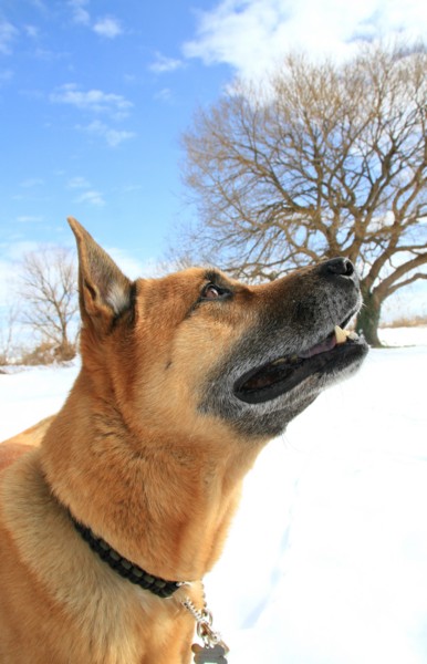 f:id:mamimami_LA:20140209113054j:image f:id:mamimami_LA:20140209113054j:image