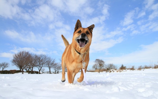 f:id:mamimami_LA:20140209113849j:image f:id:mamimami_LA:20140209113849j:image