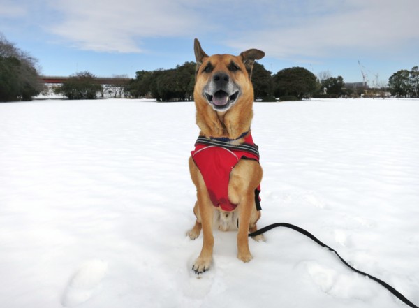 f:id:mamimami_LA:20140210114911j:image f:id:mamimami_LA:20140210114911j:image