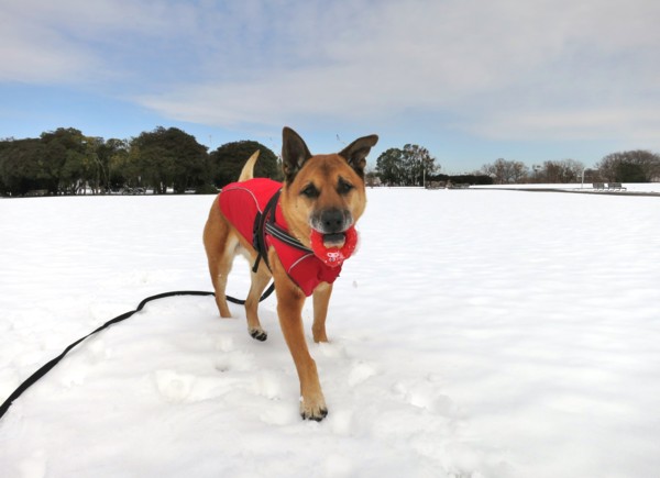 f:id:mamimami_LA:20140210114937j:image f:id:mamimami_LA:20140210114937j:image