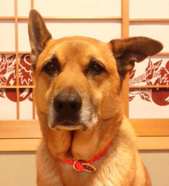 f:id:mamimami_LA:20140213174541j:image