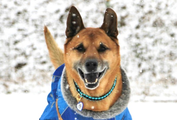 f:id:mamimami_LA:20140214094310j:image