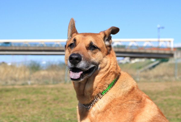 f:id:mamimami_LA:20140311094745j:image