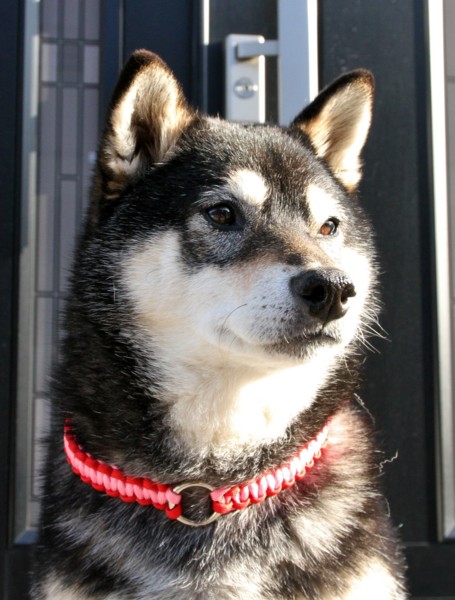 f:id:mamimami_LA:20140311160043j:image