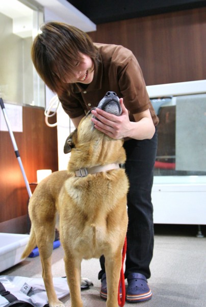 f:id:mamimami_LA:20140319092321j:image