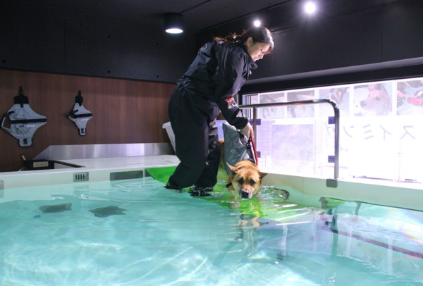 f:id:mamimami_LA:20140319092528j:image