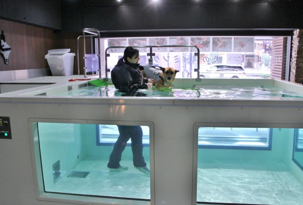 f:id:mamimami_LA:20140319092546j:image