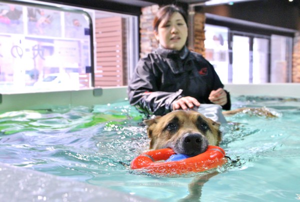 f:id:mamimami_LA:20140319093246j:image