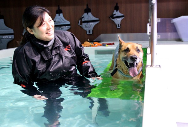 f:id:mamimami_LA:20140319093336j:image