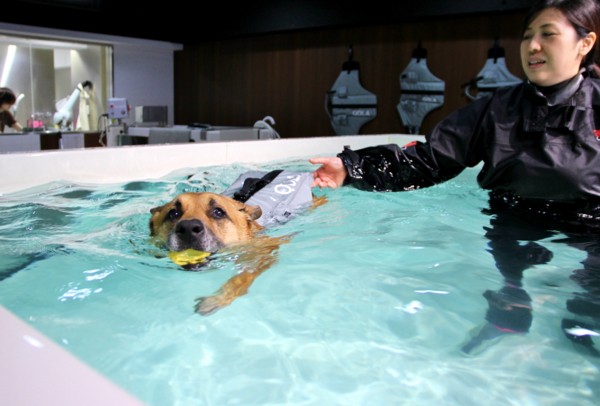 f:id:mamimami_LA:20140319093834j:image