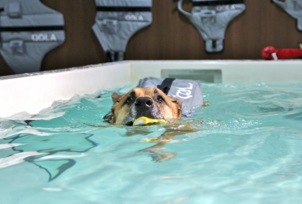 f:id:mamimami_LA:20140319093928j:image