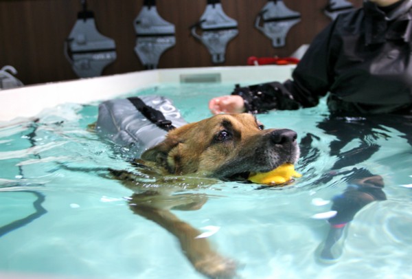 f:id:mamimami_LA:20140319093943j:image