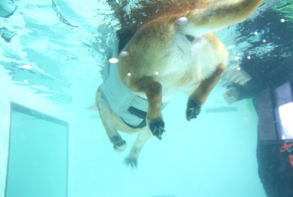 f:id:mamimami_LA:20140319094339j:image