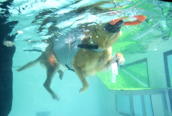 f:id:mamimami_LA:20140319094417j:image