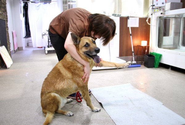 f:id:mamimami_LA:20140319094753j:image