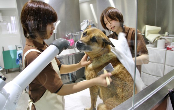 f:id:mamimami_LA:20140319095418j:image