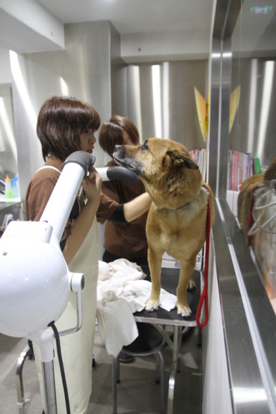 f:id:mamimami_LA:20140319101340j:image