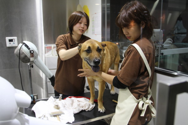 f:id:mamimami_LA:20140319103221j:image