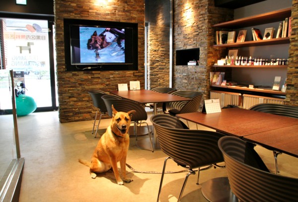 f:id:mamimami_LA:20140319103721j:image