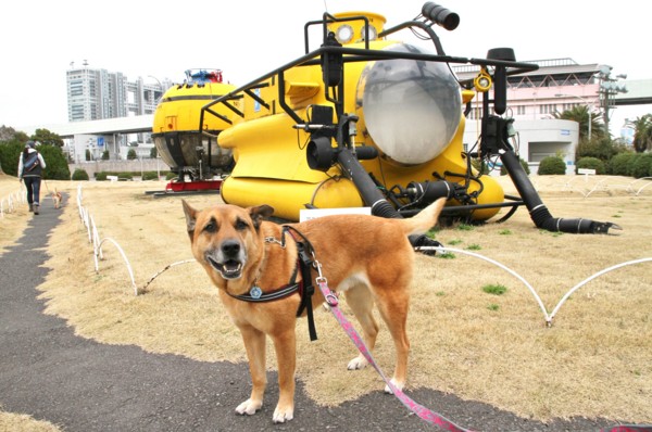 f:id:mamimami_LA:20140319132843j:image f:id:mamimami_LA:20140319132843j:image