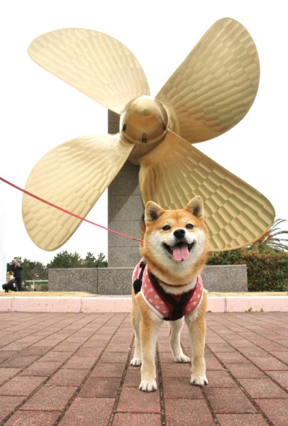 f:id:mamimami_LA:20140319133352j:image f:id:mamimami_LA:20140319133352j:image