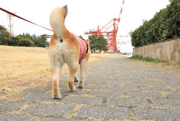 f:id:mamimami_LA:20140319141010j:image f:id:mamimami_LA:20140319141010j:image