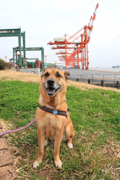 f:id:mamimami_LA:20140319141256j:image f:id:mamimami_LA:20140319141256j:image