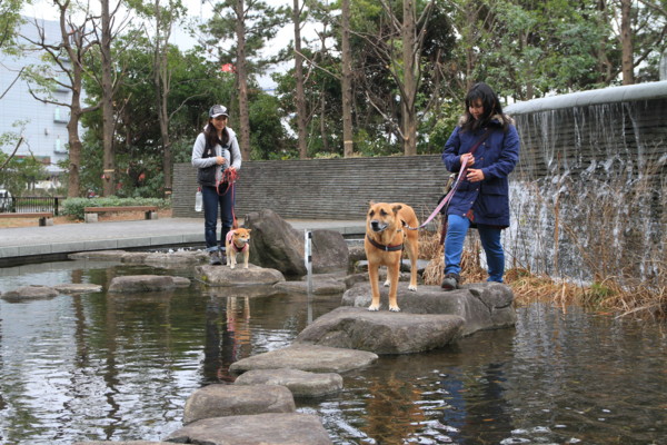 f:id:mamimami_LA:20140319142727j:image f:id:mamimami_LA:20140319142727j:image