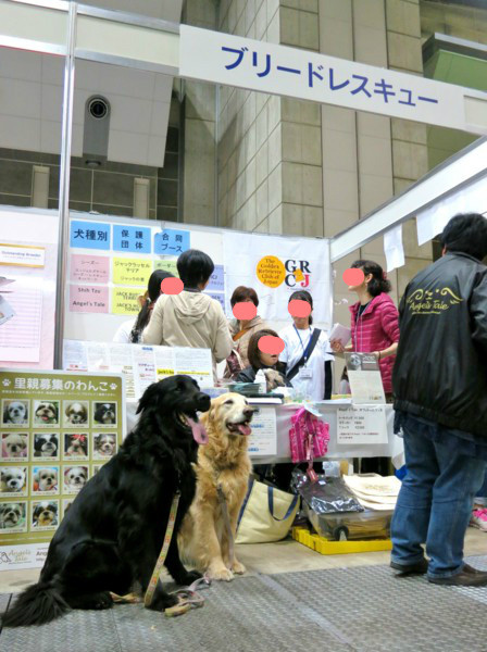 f:id:mamimami_LA:20140330101542j:image