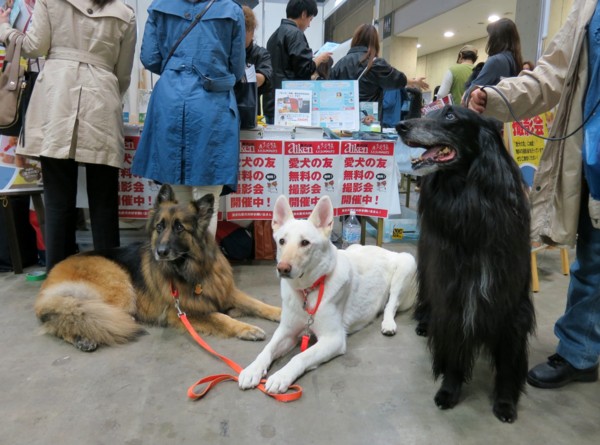 f:id:mamimami_LA:20140330110237j:image