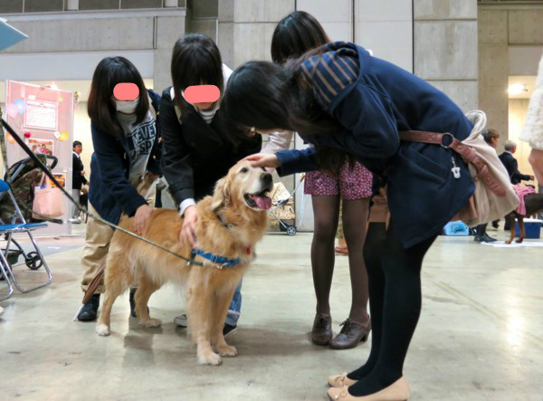 f:id:mamimami_LA:20140330111538j:image