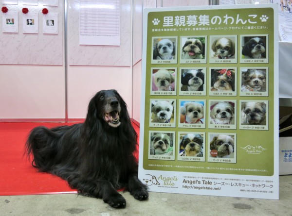 f:id:mamimami_LA:20140330125539j:image