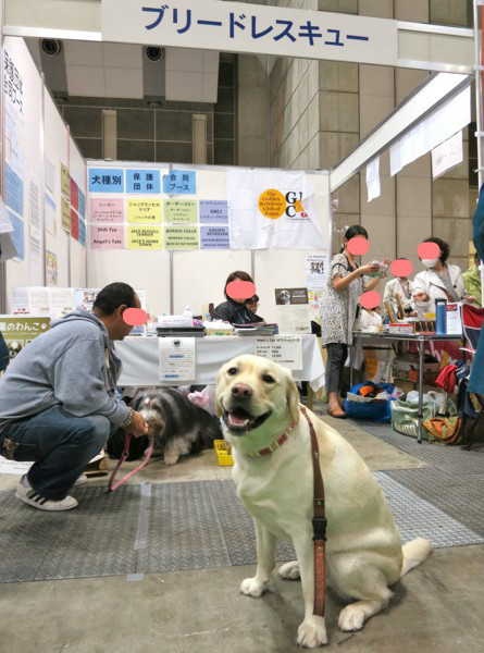 f:id:mamimami_LA:20140330142049j:image