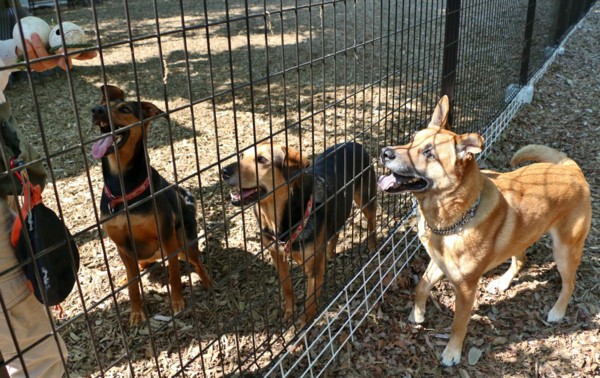 f:id:mamimami_LA:20140424091753j:image