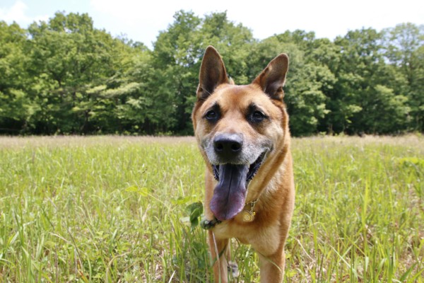 f:id:mamimami_LA:20140516104446j:image