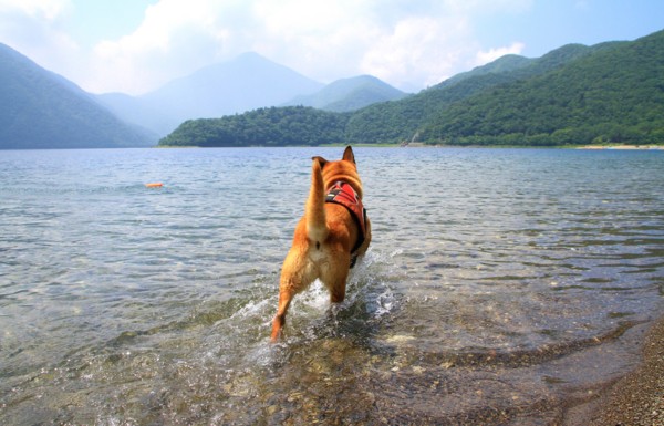 f:id:mamimami_LA:20140725105004j:image