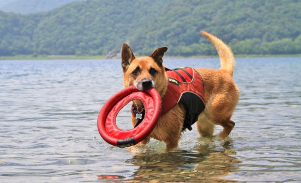 f:id:mamimami_LA:20140725105212j:image