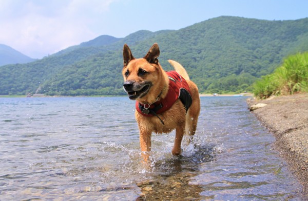 f:id:mamimami_LA:20140725105728j:image