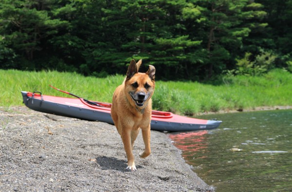 f:id:mamimami_LA:20140725110552j:image