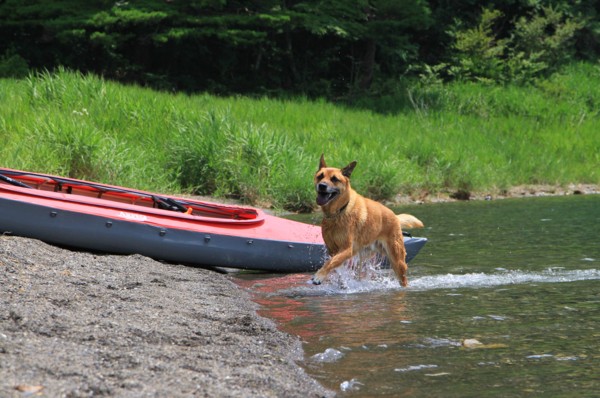 f:id:mamimami_LA:20140725110857j:image