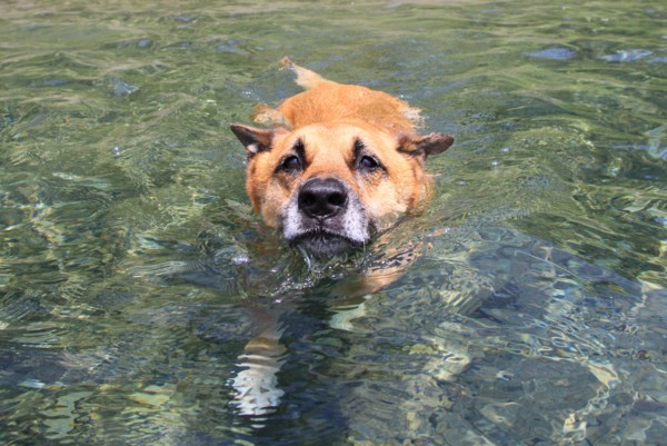 f:id:mamimami_LA:20140725111644j:image