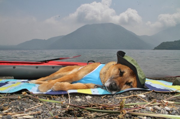 f:id:mamimami_LA:20140725124716j:image