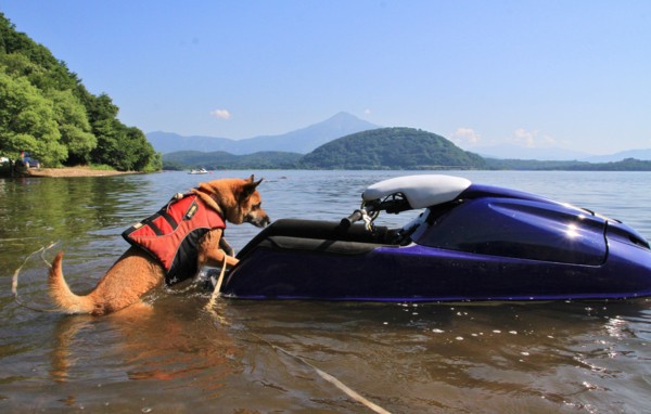 f:id:mamimami_LA:20140803084255j:image