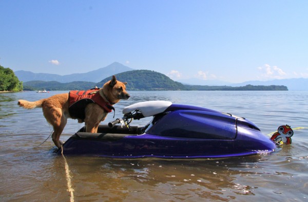 f:id:mamimami_LA:20140803084257j:image